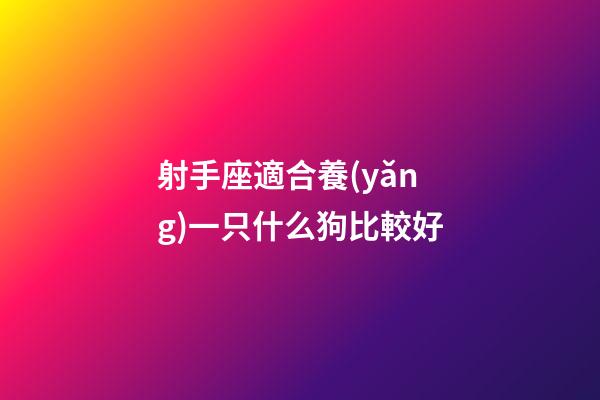 射手座適合養(yǎng)一只什么狗比較好-第1張-星座運勢-玄機派