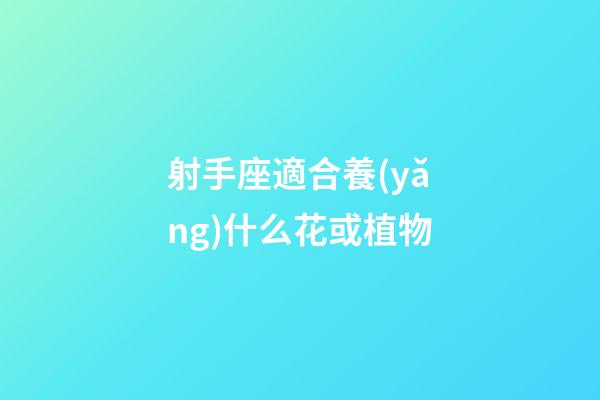 射手座適合養(yǎng)什么花或植物-第1張-星座運(yùn)勢(shì)-玄機(jī)派