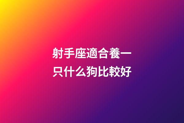 射手座適合養一只什么狗比較好-第1張-星座運勢-玄機派