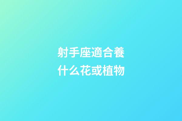 射手座適合養什么花或植物