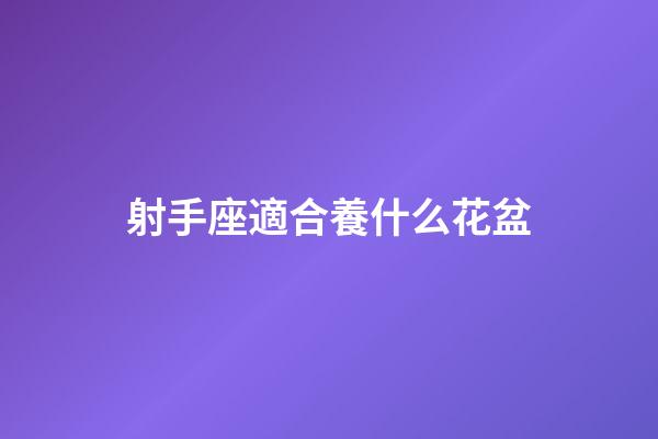 射手座適合養什么花盆-第1張-星座運勢-玄機派