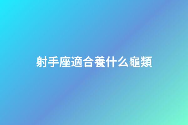 射手座適合養什么龜類-第1張-星座運勢-玄機派