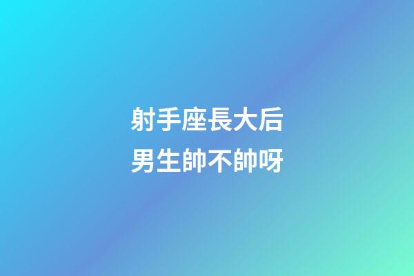 射手座長大后男生帥不帥呀-第1張-星座運勢-玄機(jī)派