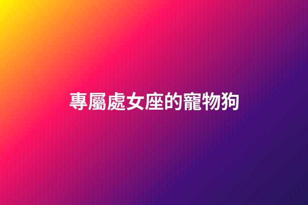 專屬處女座的寵物狗-第1張-星座運勢-玄機派