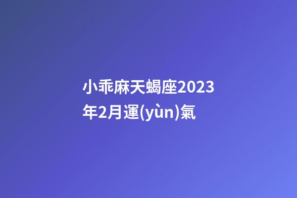 小乖麻天蝎座2023年2月運(yùn)氣