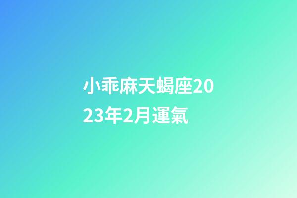 小乖麻天蝎座2023年2月運氣