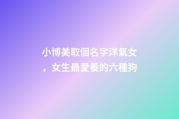 小博美取個名字洋氣女，女生最愛養的六種狗-第1張-觀點-玄機派