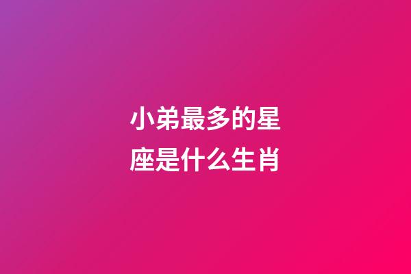 小弟最多的星座是什么生肖-第1張-星座運勢-玄機派