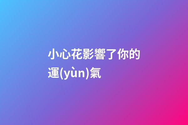 小心花影響了你的運(yùn)氣