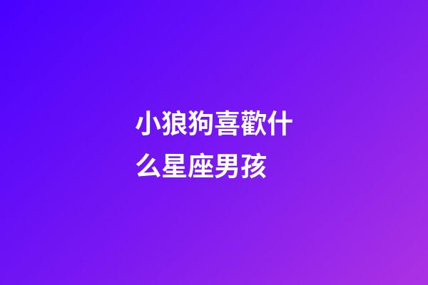 小狼狗喜歡什么星座男孩