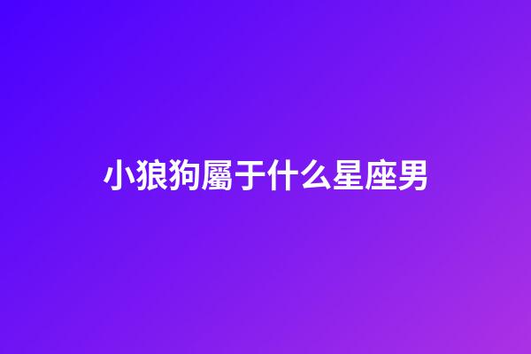 小狼狗屬于什么星座男