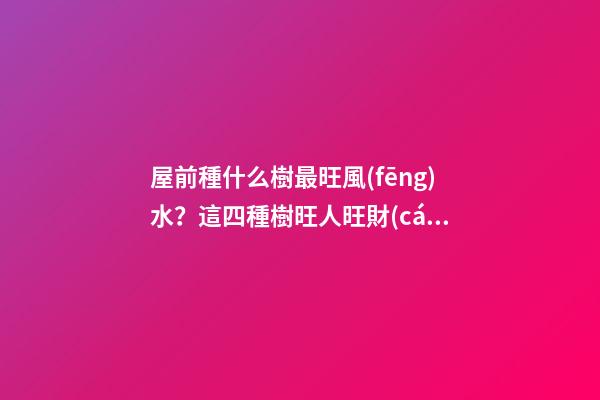 屋前種什么樹最旺風(fēng)水？這四種樹旺人旺財(cái)