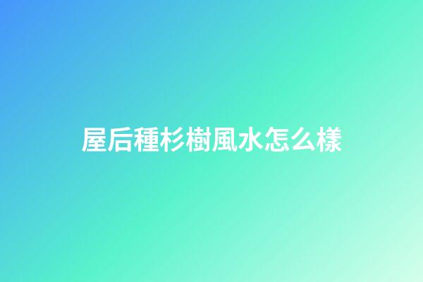 屋后種杉樹風水怎么樣