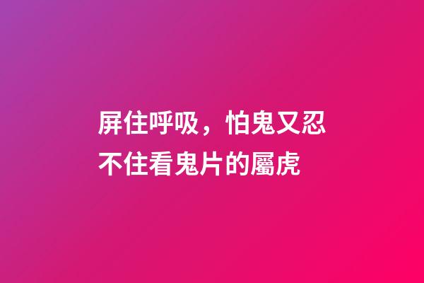 屏住呼吸，怕鬼又忍不住看鬼片的屬虎