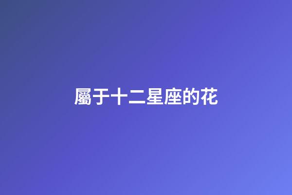 屬于十二星座的花-第1張-星座運勢-玄機派