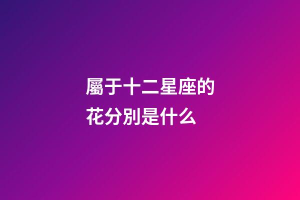 屬于十二星座的花分別是什么-第1張-星座運勢-玄機派