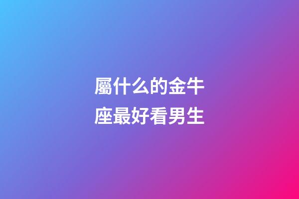 屬什么的金牛座最好看男生-第1張-星座運勢-玄機派