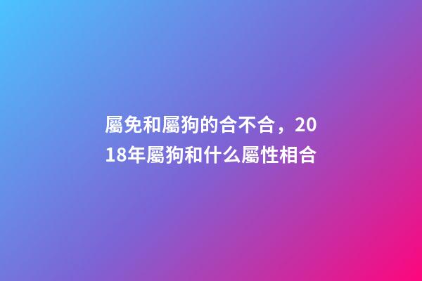 屬免和屬狗的合不合，2018年屬狗和什么屬性相合-第1張-觀點-玄機派