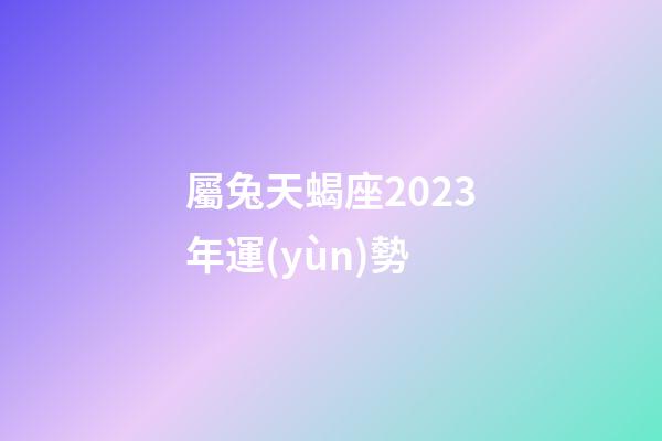 屬兔天蝎座2023年運(yùn)勢
