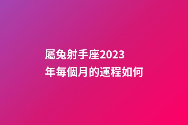 屬兔射手座2023年每個月的運程如何-第1張-星座運勢-玄機派