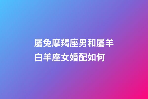 屬兔摩羯座男和屬羊白羊座女婚配如何-第1張-星座運勢-玄機派