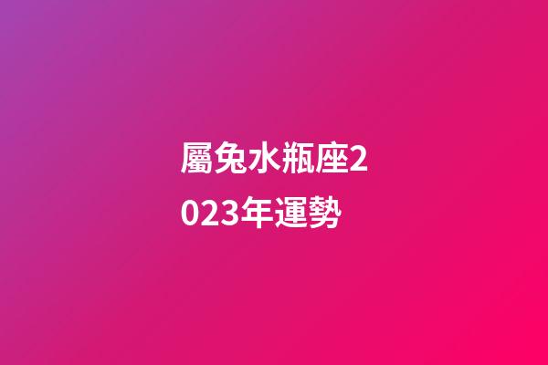 屬兔水瓶座2023年運勢-第1張-星座運勢-玄機派
