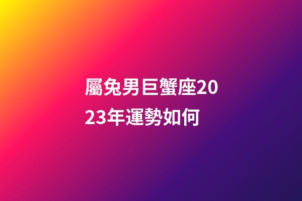 屬兔男巨蟹座2023年運勢如何-第1張-星座運勢-玄機派