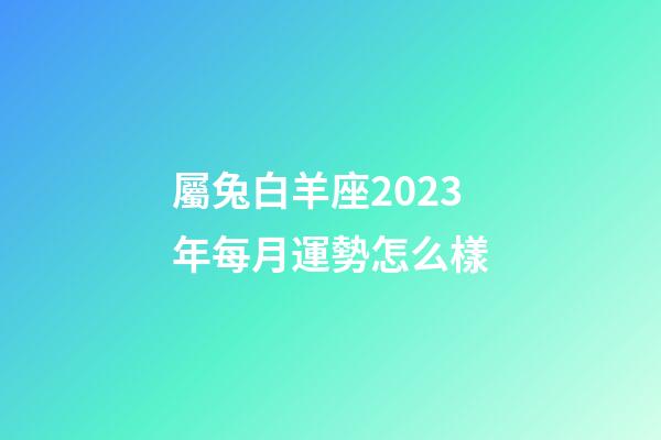 屬兔白羊座2023年每月運勢怎么樣