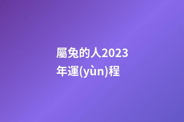 屬兔的人2023年運(yùn)程（77年屬蛇人今年運(yùn)勢(shì)）-第1張-星座運(yùn)勢(shì)-玄機(jī)派