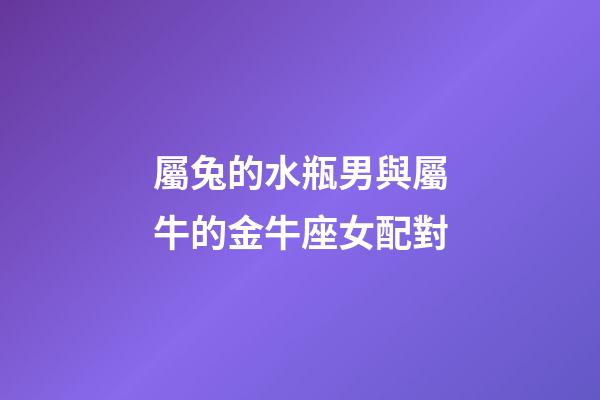 屬兔的水瓶男與屬牛的金牛座女配對-第1張-星座運勢-玄機派