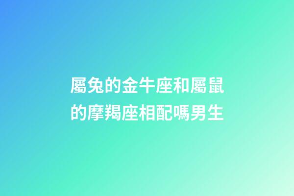 屬兔的金牛座和屬鼠的摩羯座相配嗎男生-第1張-星座運勢-玄機派
