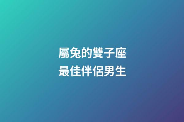 屬兔的雙子座最佳伴侶男生-第1張-星座運勢-玄機派