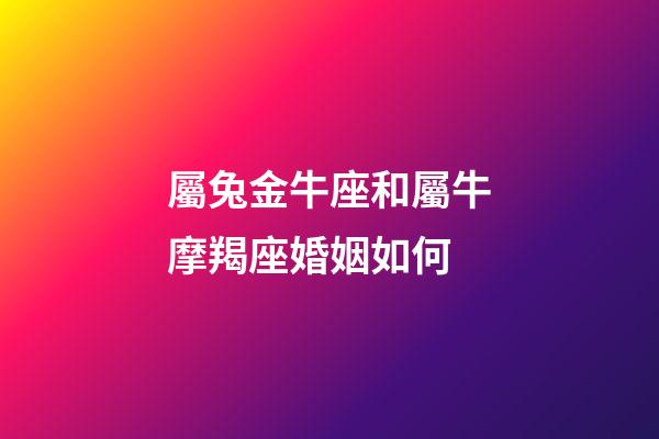 屬兔金牛座和屬牛摩羯座婚姻如何-第1張-星座運勢-玄機派