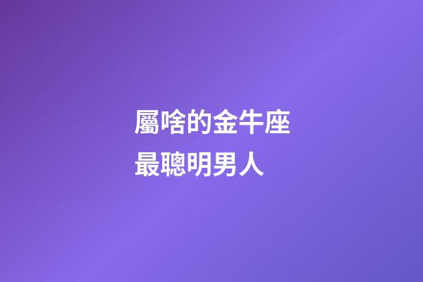 屬啥的金牛座最聰明男人