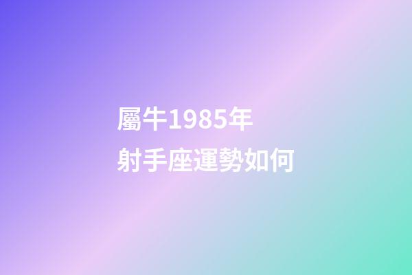 屬牛1985年射手座運勢如何-第1張-星座運勢-玄機派