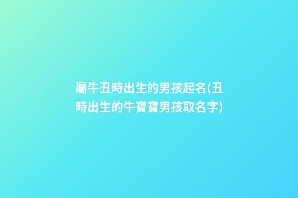 屬牛丑時出生的男孩起名(丑時出生的牛寶寶男孩取名字)