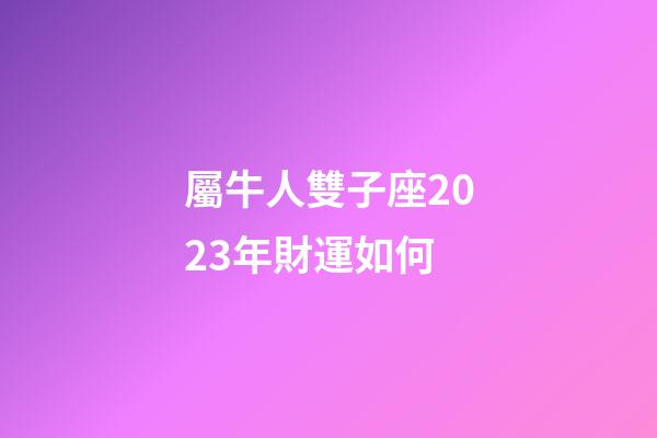 屬牛人雙子座2023年財運如何-第1張-星座運勢-玄機派