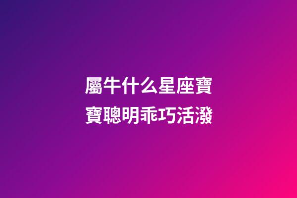 屬牛什么星座寶寶聰明乖巧活潑