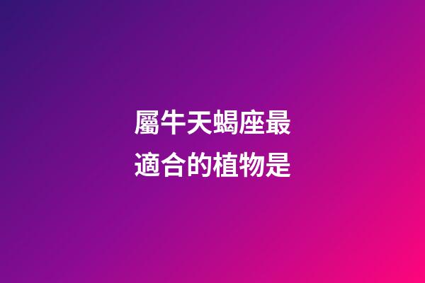 屬牛天蝎座最適合的植物是-第1張-星座運勢-玄機派