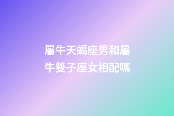 屬牛天蝎座男和屬牛雙子座女相配嗎-第1張-星座運勢-玄機派
