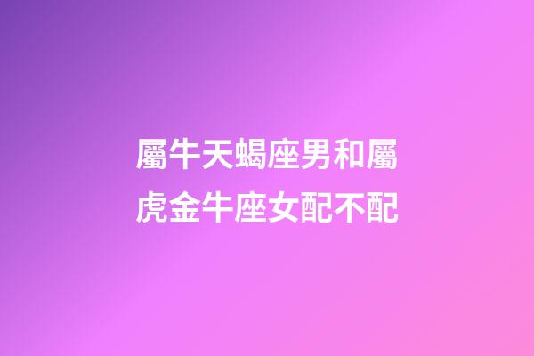 屬牛天蝎座男和屬虎金牛座女配不配-第1張-星座運勢-玄機派