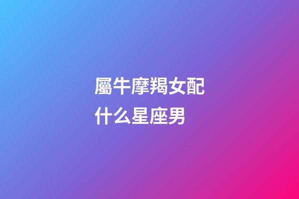 屬牛摩羯女配什么星座男-第1張-星座運勢-玄機派