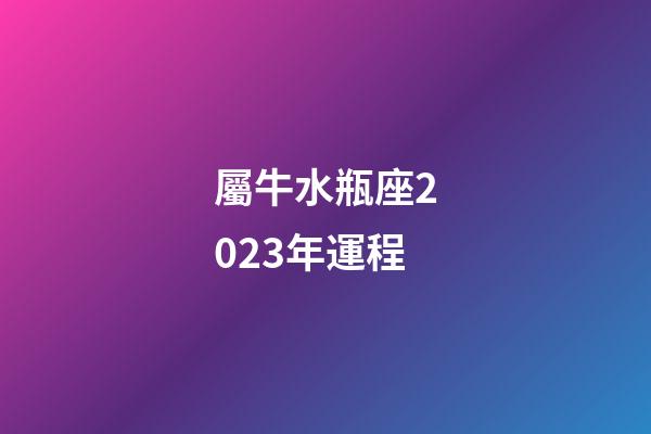 屬牛水瓶座2023年運程-第1張-星座運勢-玄機派