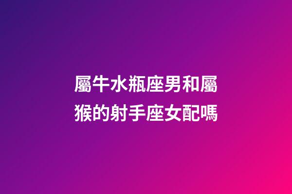 屬牛水瓶座男和屬猴的射手座女配嗎-第1張-星座運勢-玄機派