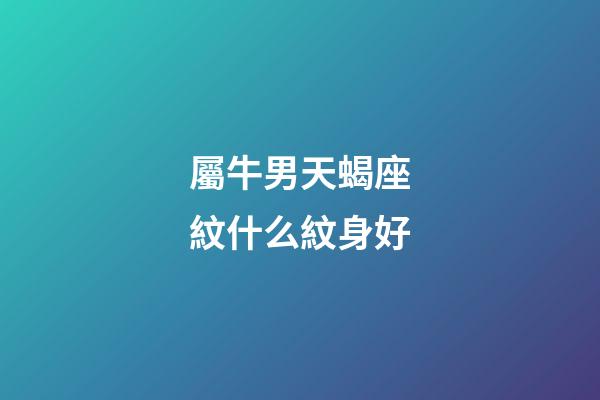 屬牛男天蝎座紋什么紋身好-第1張-星座運勢-玄機派
