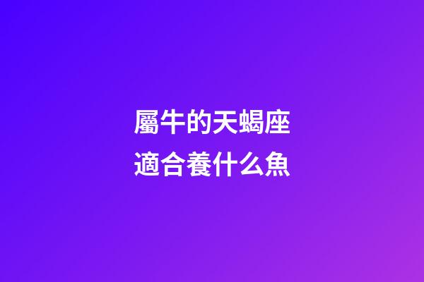 屬牛的天蝎座適合養什么魚-第1張-星座運勢-玄機派