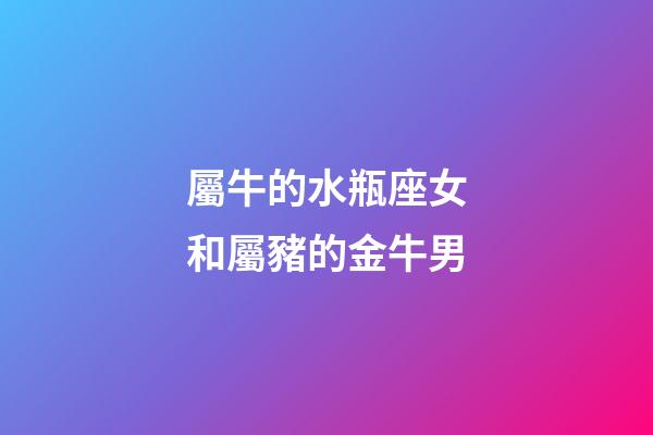 屬牛的水瓶座女和屬豬的金牛男-第1張-星座運勢-玄機派