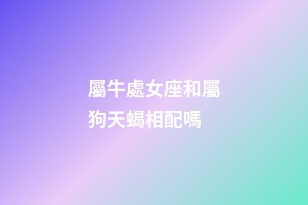 屬牛處女座和屬狗天蝎相配嗎