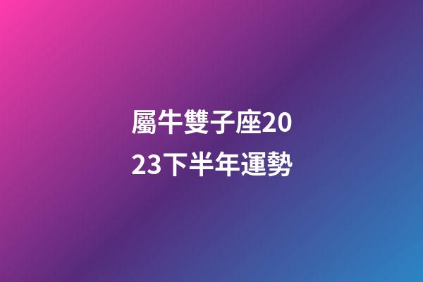 屬牛雙子座2023下半年運勢-第1張-星座運勢-玄機派