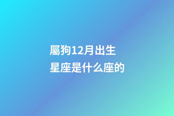 屬狗12月出生星座是什么座的